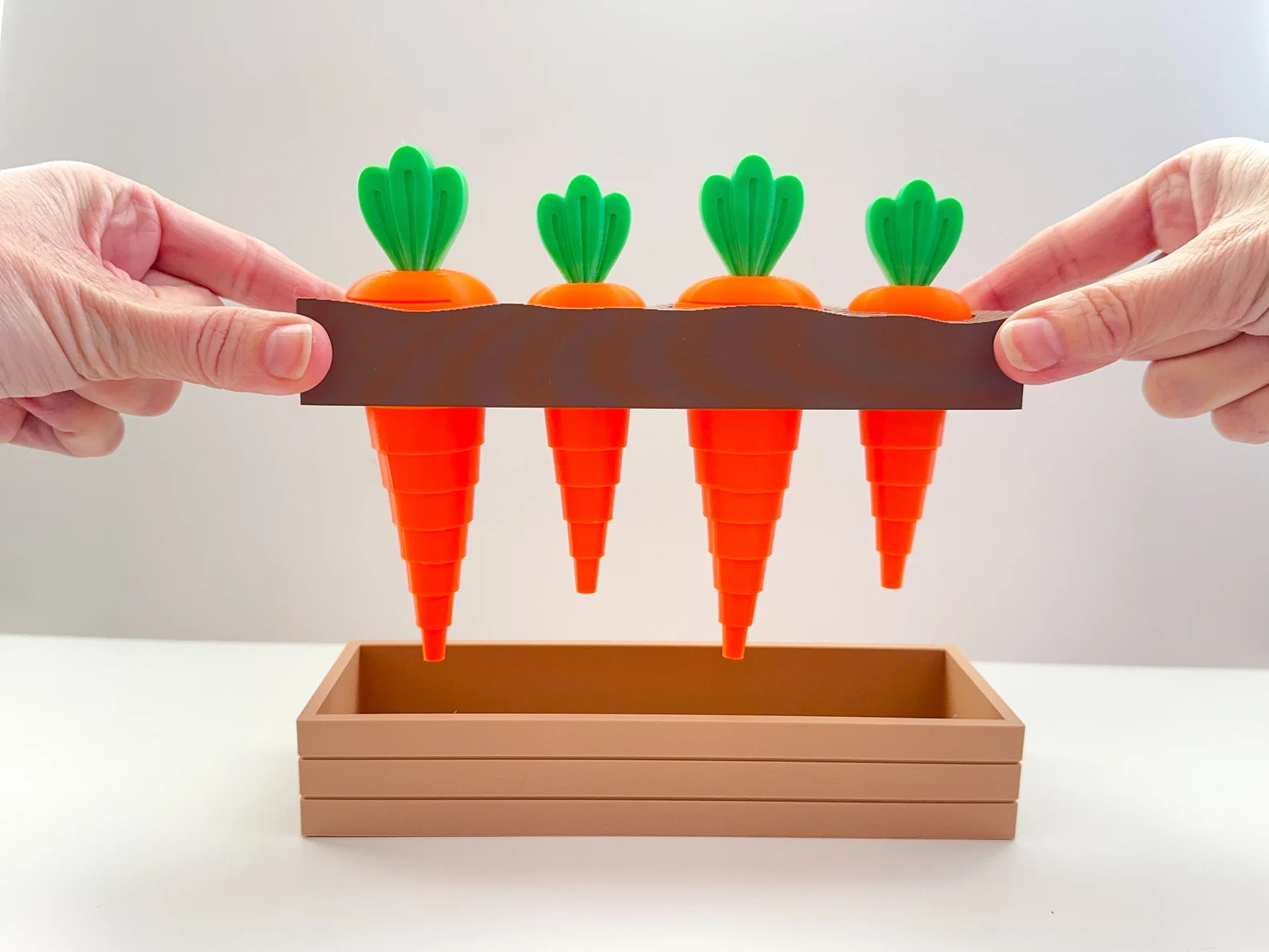 3D Printed Carrot Sorting Toy