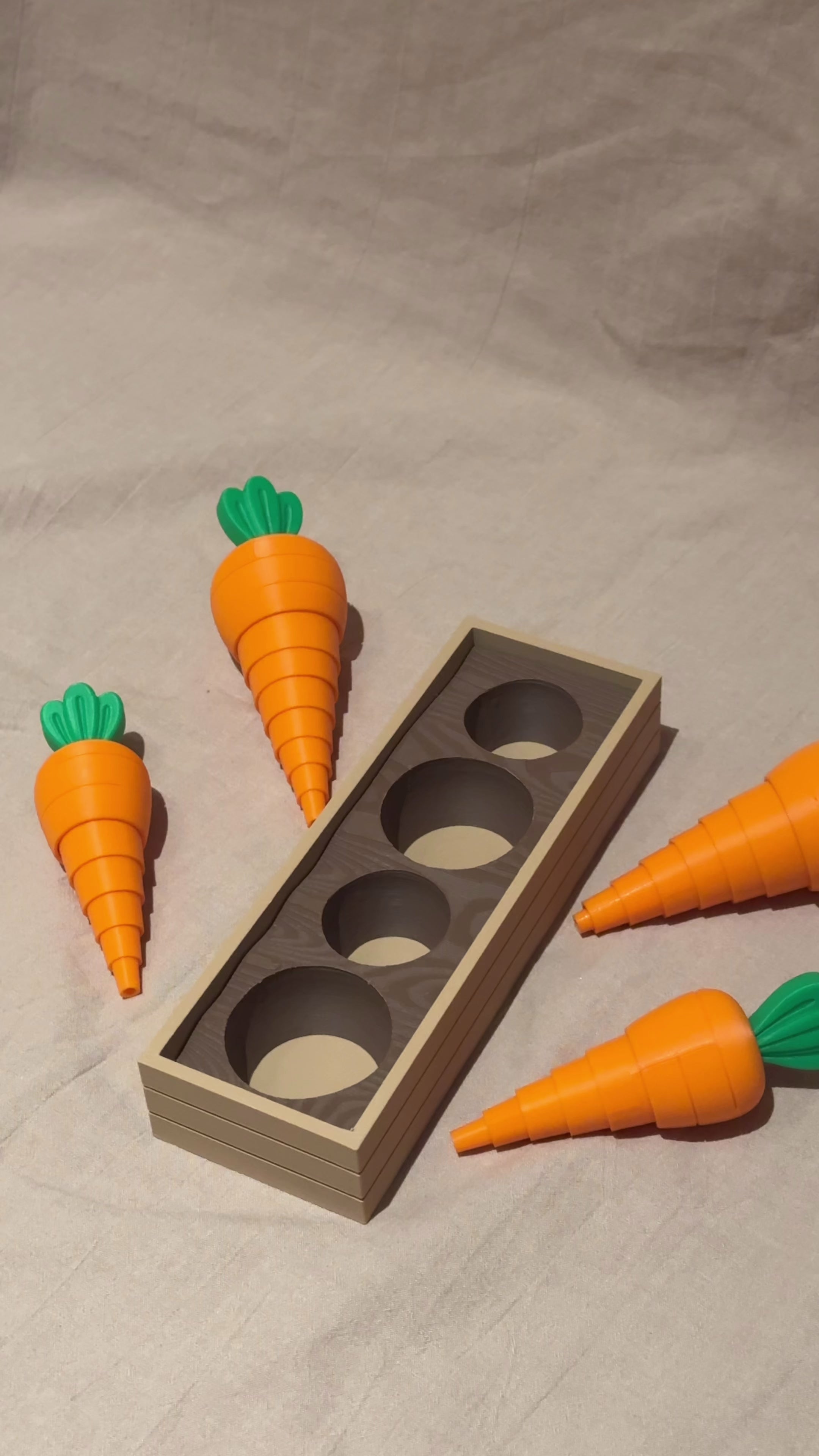 3D Printed Carrot Sorting Toy